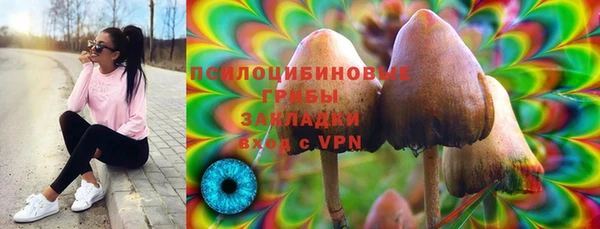 ECSTASY Белокуриха