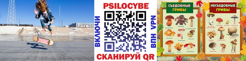 цены Семикаракорск Псилоцибиновые грибы Psilocybine cubensis